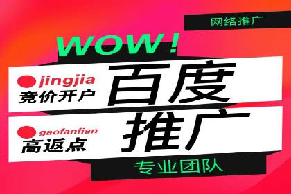 案例解析：推广竞价助力企业实现业绩持续增长